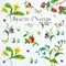 The Gifted Stationery Square Wall Calendar - 16-Month Sep 2025-Dec 2026 Wall Planner - Floral Botanical Art and 2026 Calendar - 12 x 12 in Hangable